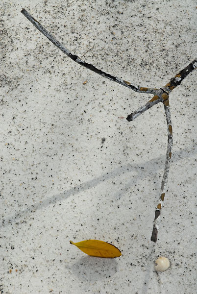 02052012-112LBK-DTweb