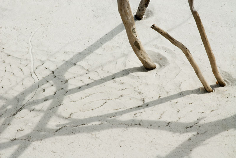 02052012-126LBK-DTweb2