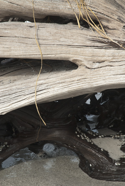 02052012-137LBK-DTweb