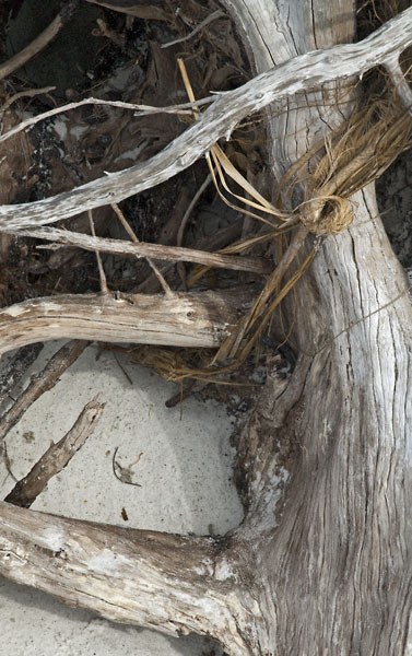 02052012-145LBK-DTweb2