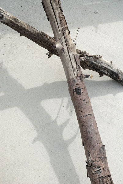 02052012-160LBK-DTweb