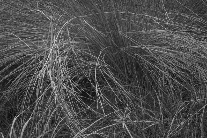 01202013-Robinson Preserve-001