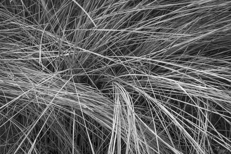 01202013-Robinson Preserve-003