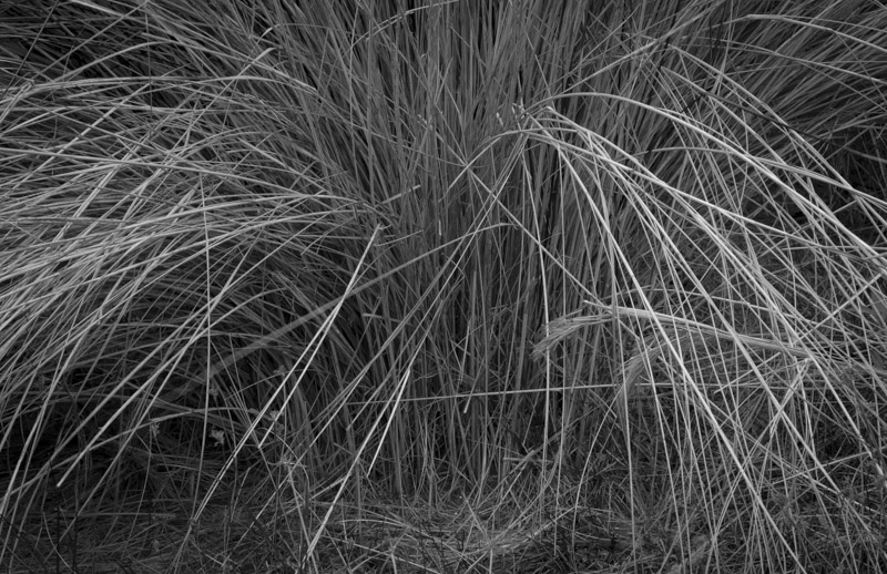 01202013-Robinson Preserve-004