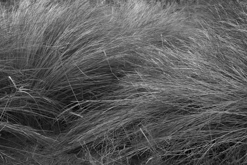 01202013-Robinson Preserve-005