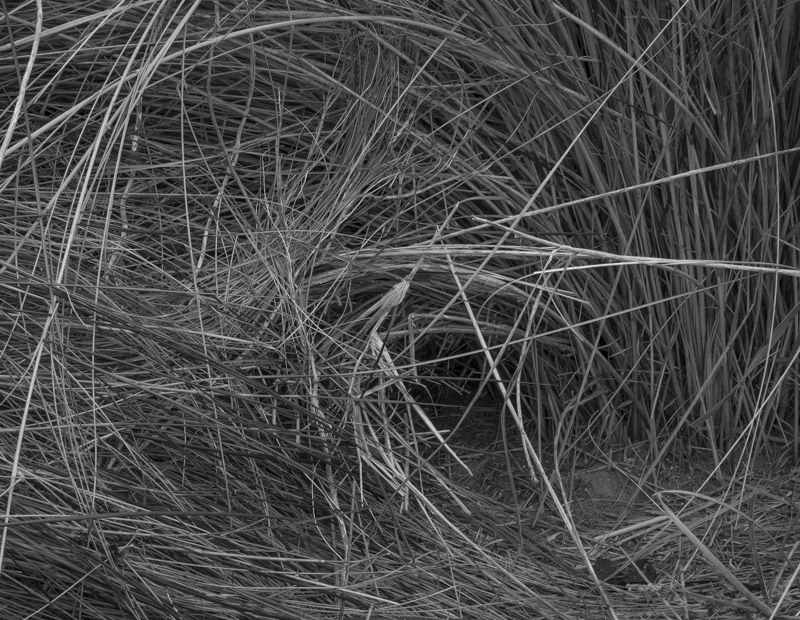 01202013-Robinson Preserve-006