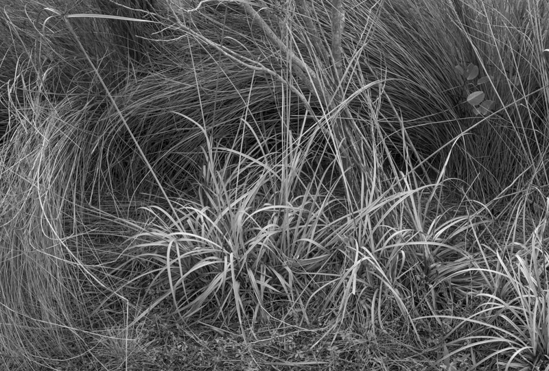 01202013-Robinson Preserve-008