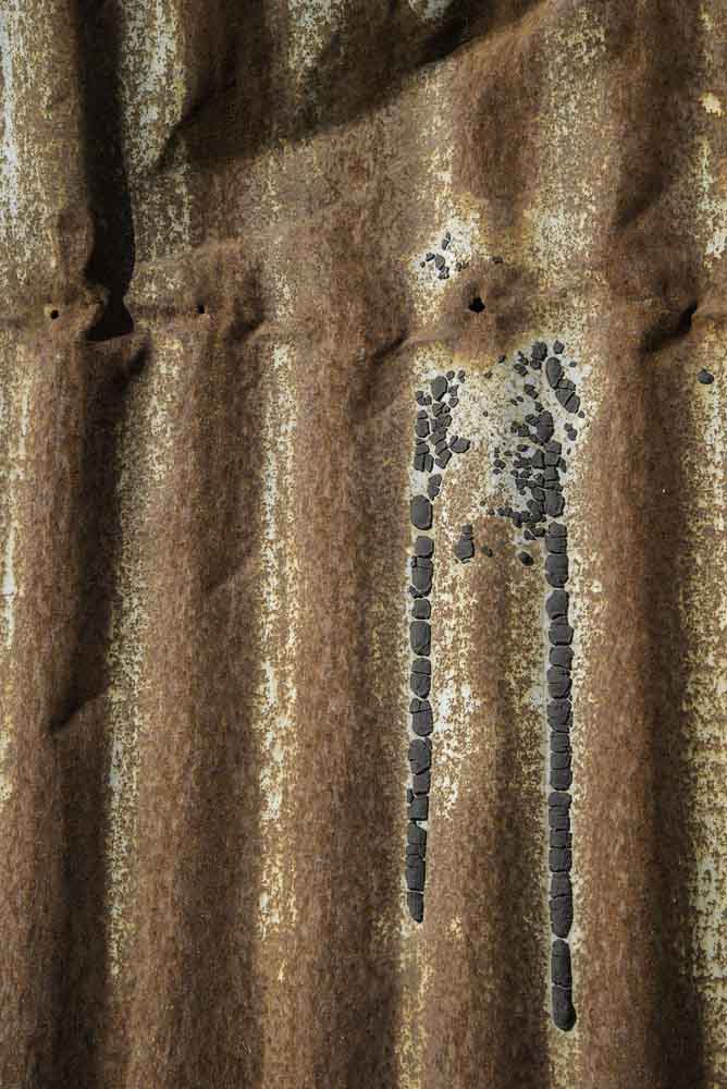 02032013-Nokomis-033