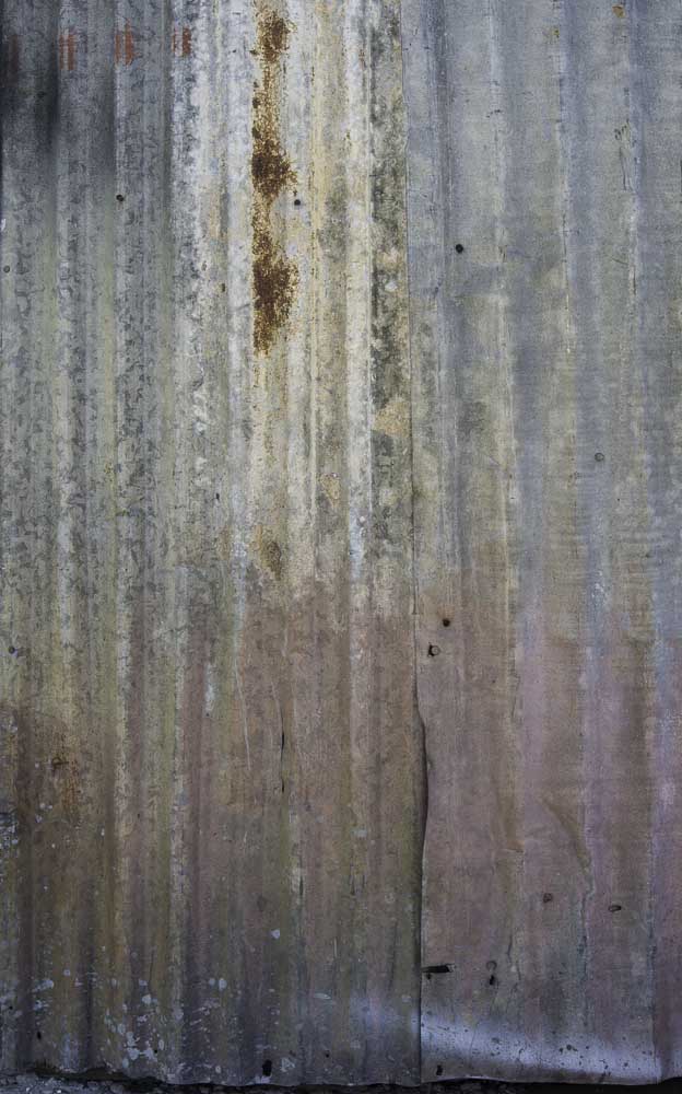 02032013-Nokomis-076