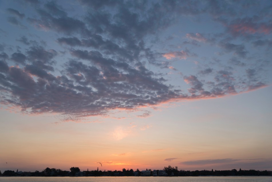 03312013-South Lido Park-013
