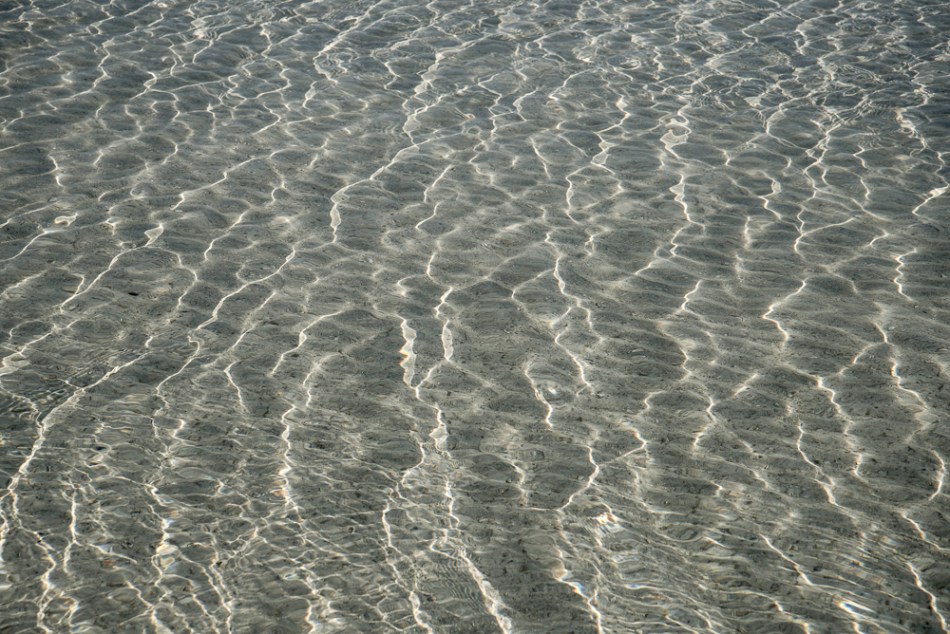 03312013-South Lido Park-168