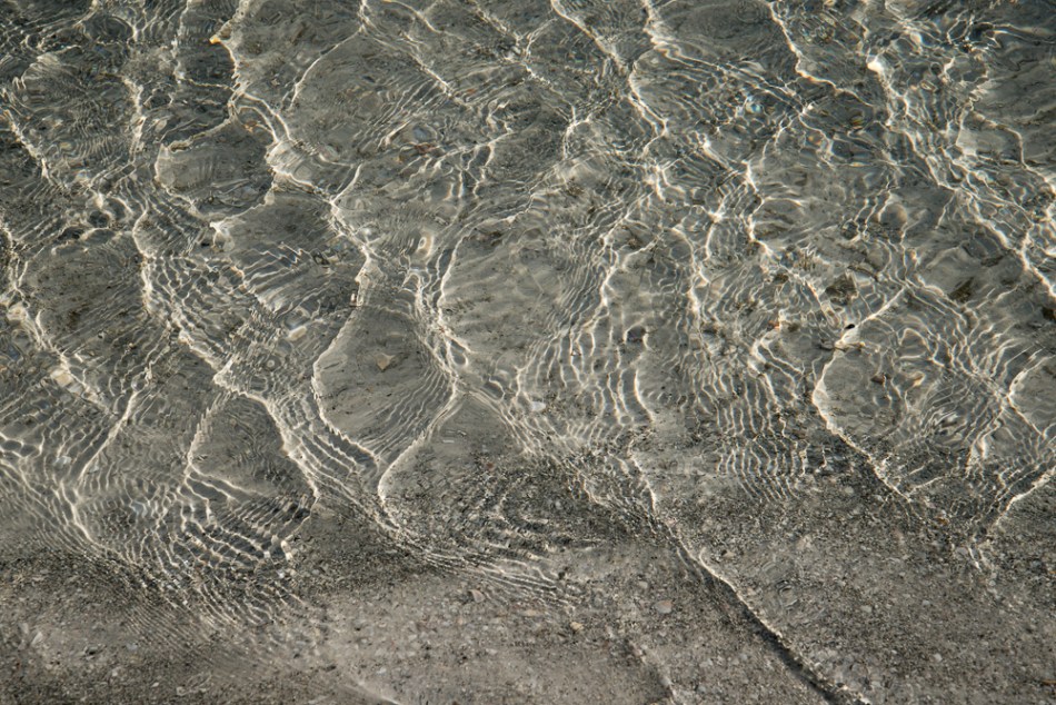 03312013-South Lido Park-172