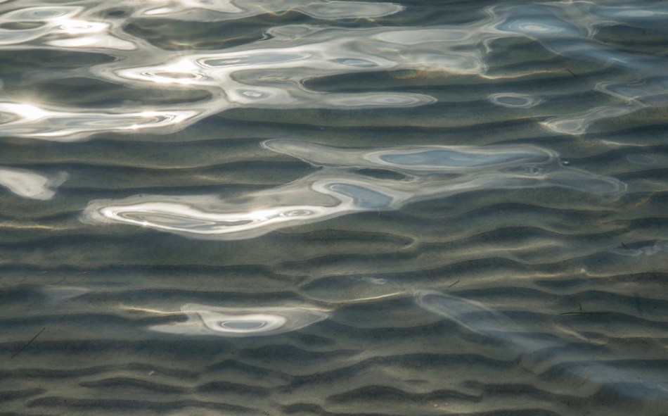 03312013-South Lido Park-25