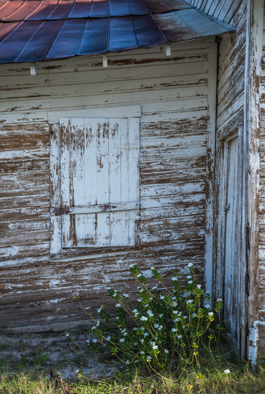 04072013-Old Myakka-017