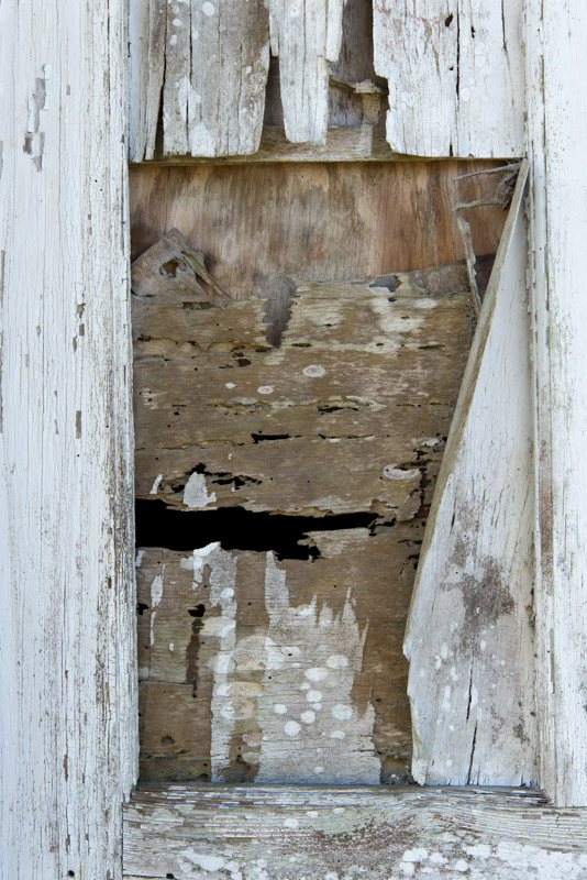 04072013-Old Myakka-030