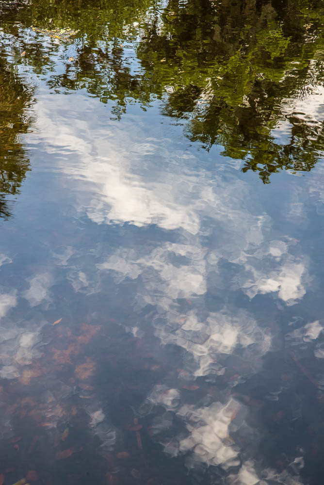04072013-Old Myakka-103-2