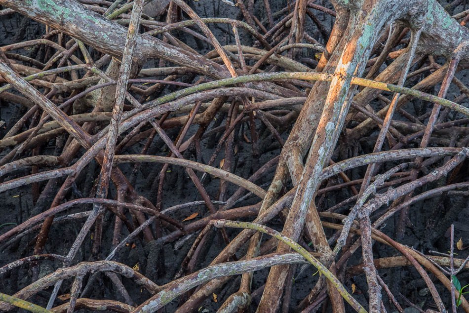 04142013-Quick Point-015-2