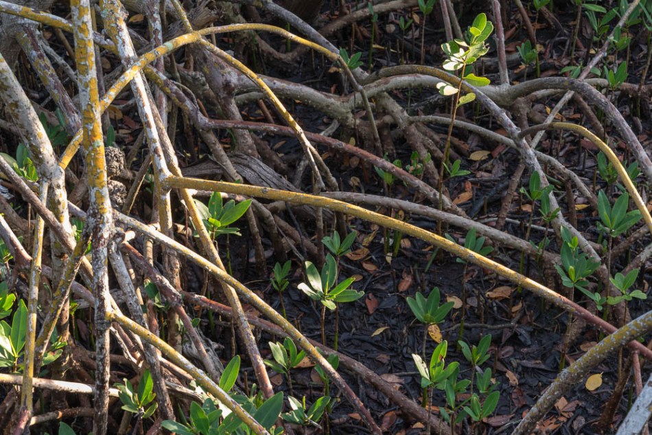 04142013-Quick Point-019