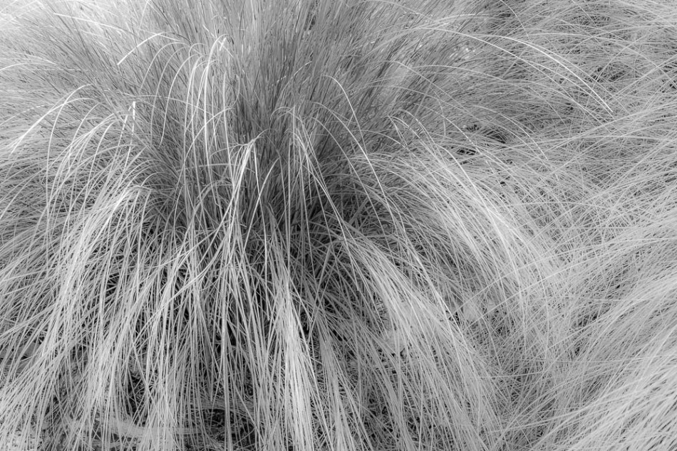 04142013-Quick Point-020