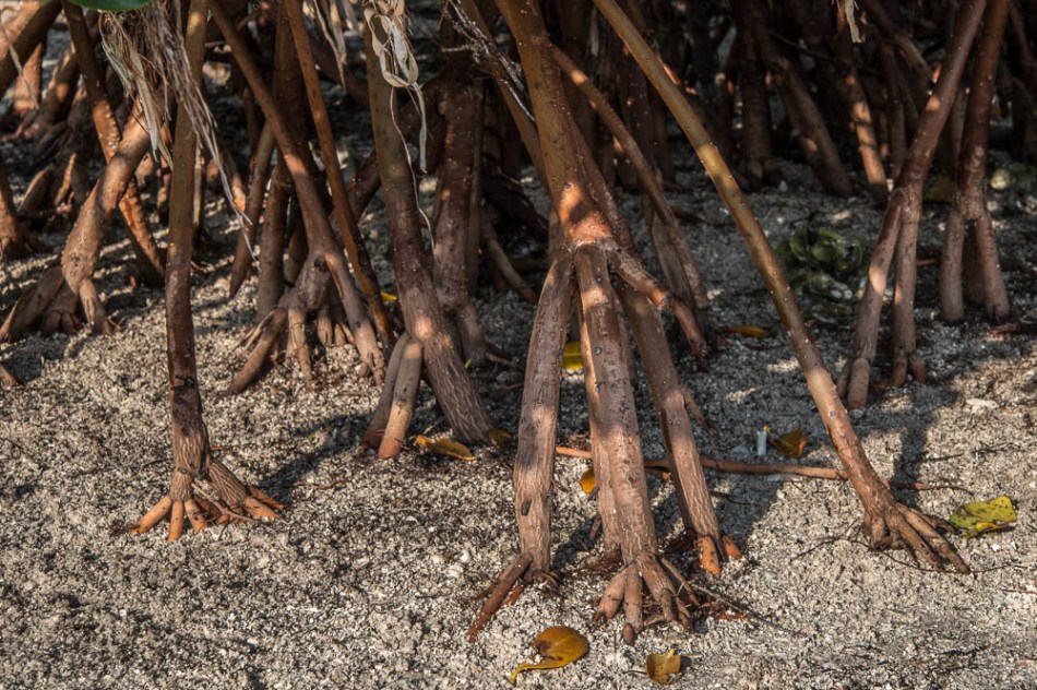 04142013-Quick Point-022