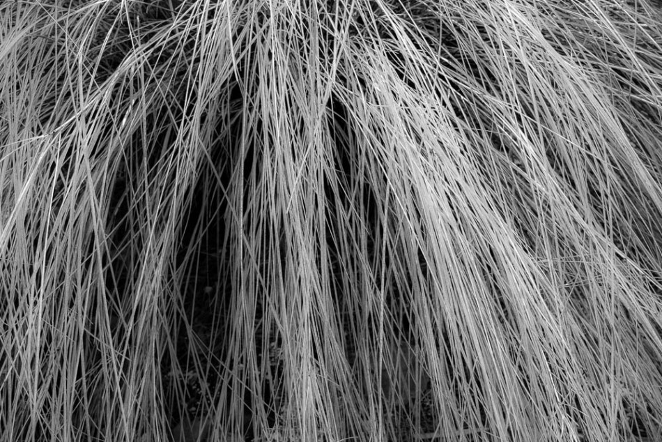 04142013-Quick Point-024-2