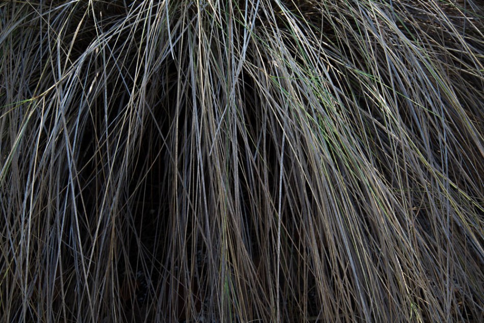 04142013-Quick Point-024