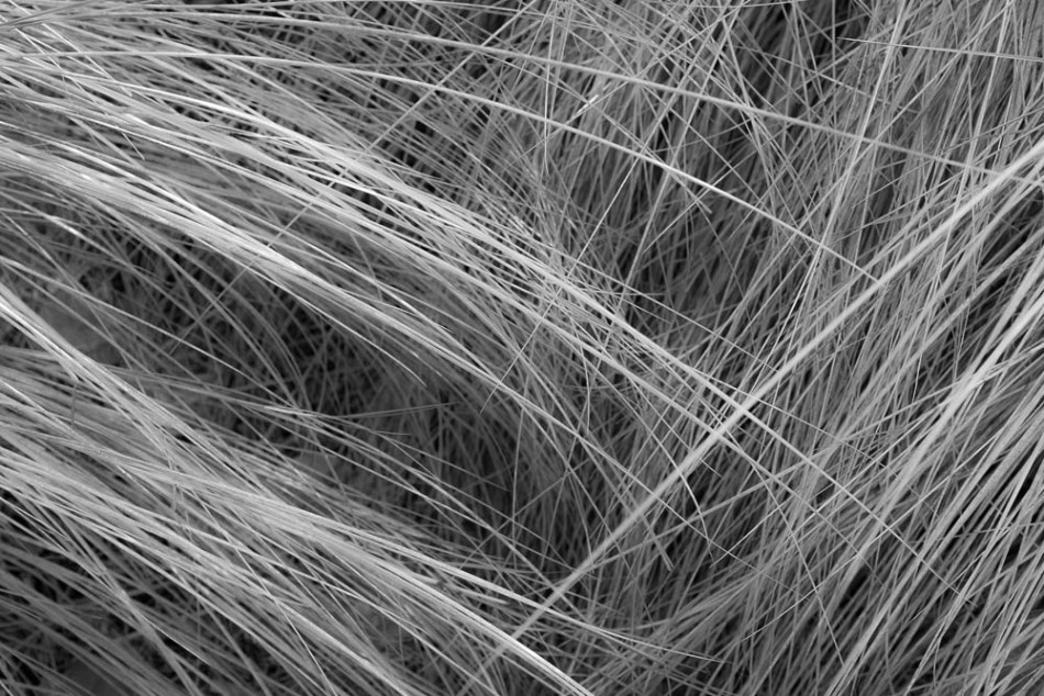 04142013-Quick Point-026