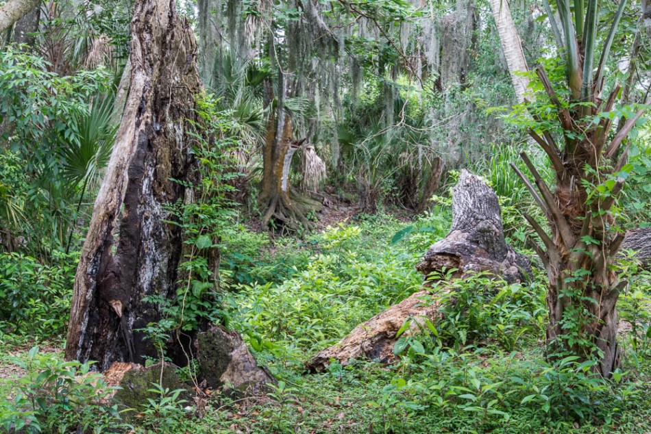 05122013-Pinecraft Park-071