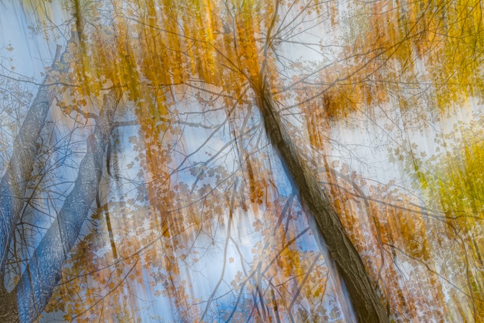 10272013 SG-385-Layered2-1-Edit-Edit.Printed-1