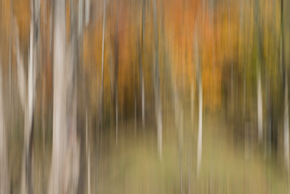 11032013-untitled-045