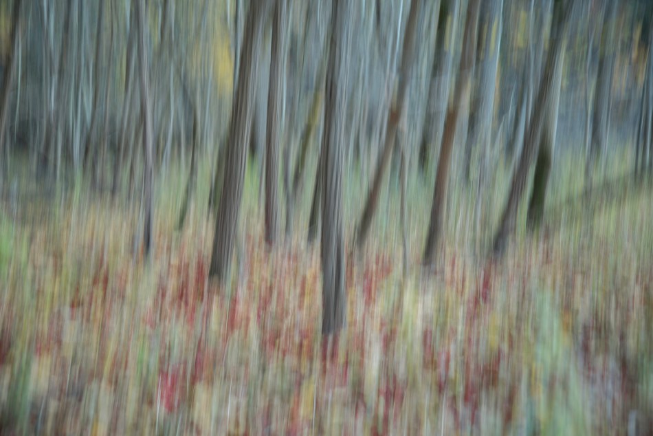 11032013-untitled-054