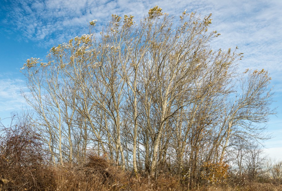 11092013-untitled-081