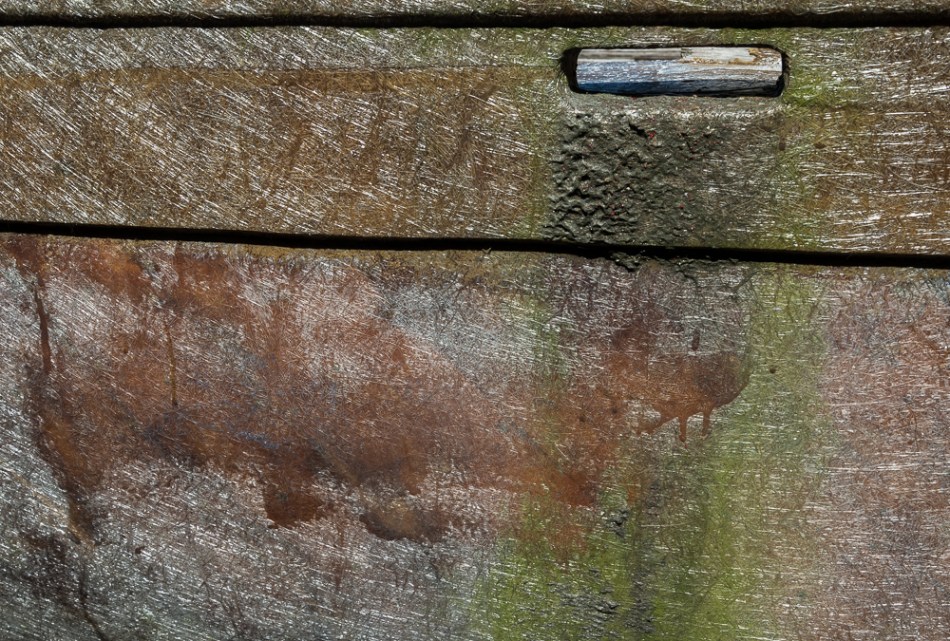 02082014 Cortez T&R-16