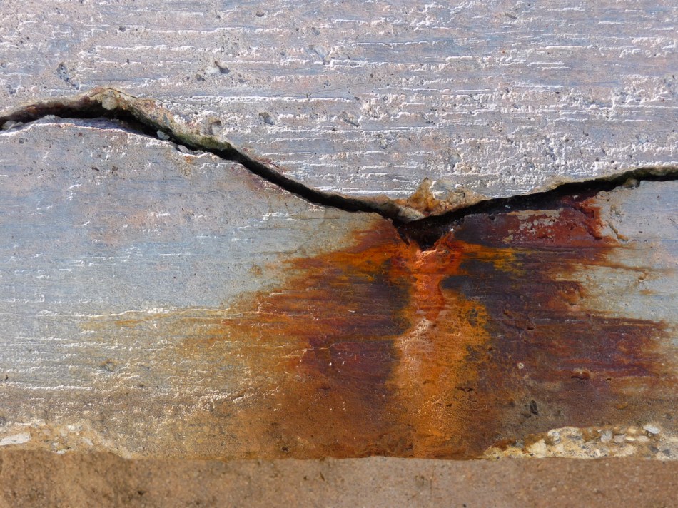 03162014 Anna Maria Island-89