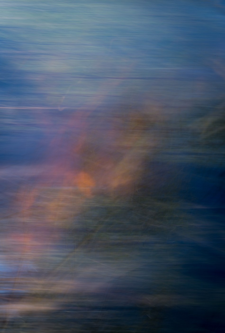 20162014 Venice Myakka River Park-195-4