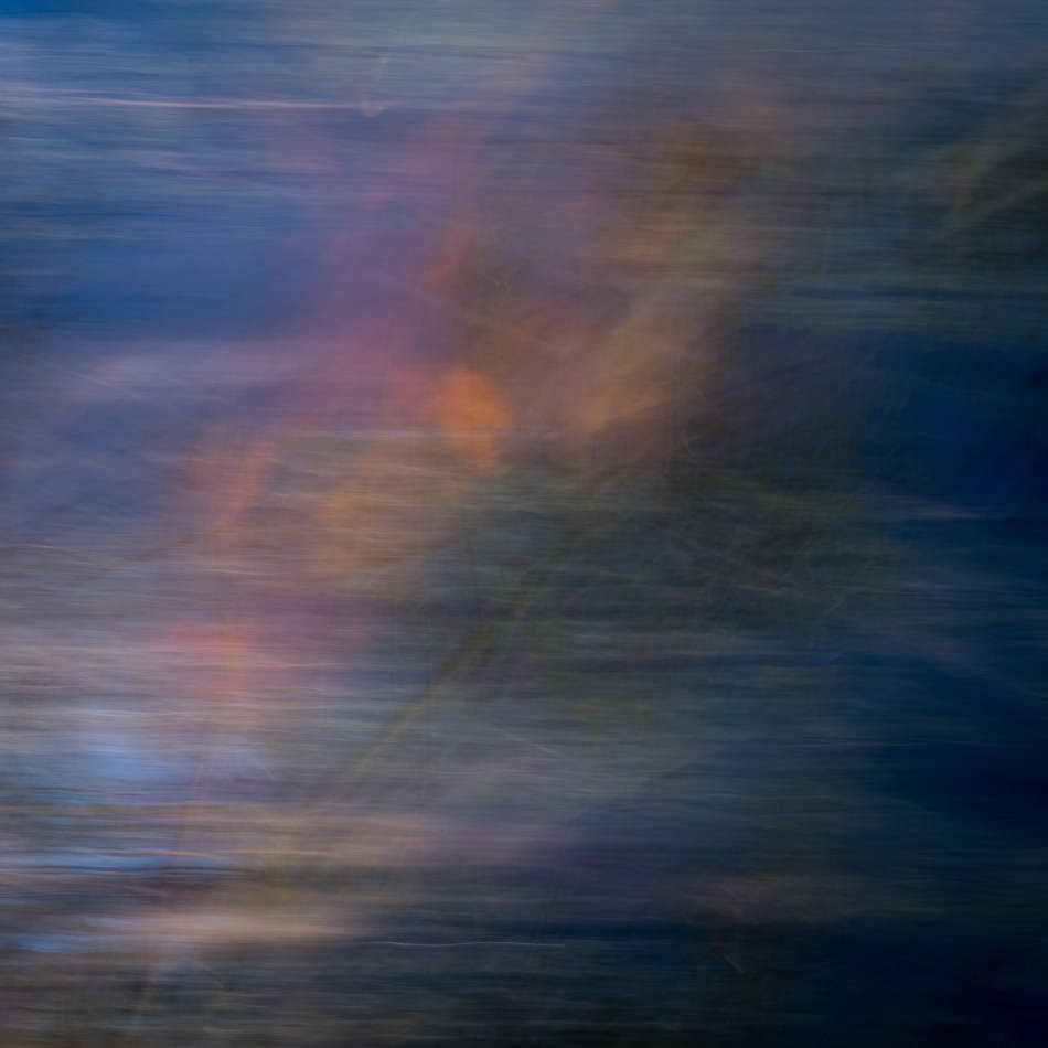 20162014 Venice Myakka River Park-195-5