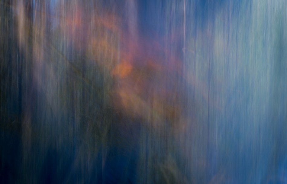 20162014 Venice Myakka River Park-195