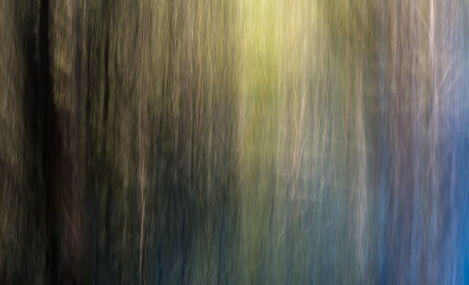 20162014 Venice Myakka River Park-199