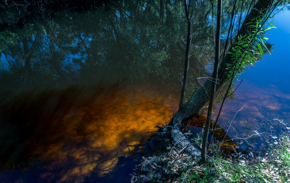 20162014 Venice Myakka River Park-83