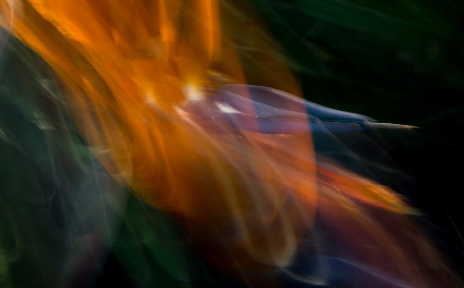 03222014 Walk Home from Farmers Market-85