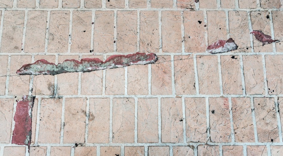 04192014 Walk Home from Farmers Market-66