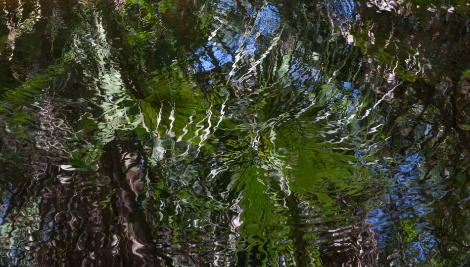 05042014 Jelks Preserve-127