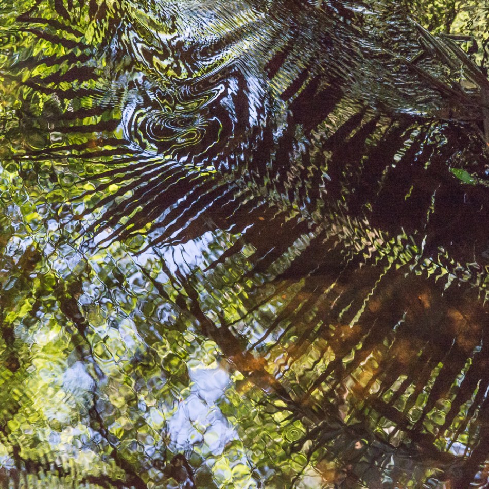 05042014 Jelks Preserve-92