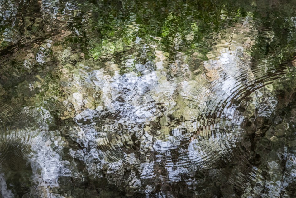 05112014-untitled-147