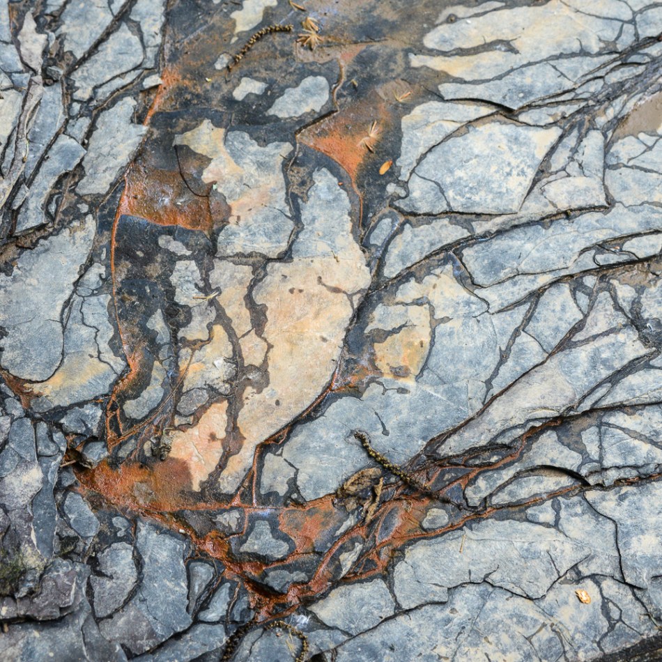 06142014 Schoepfle Garden-129