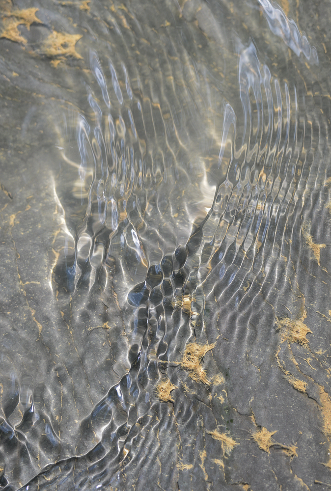 06142014 Schoepfle Garden-216