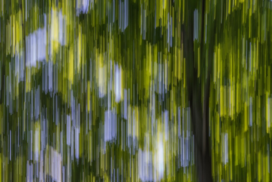 07052014 Schoepfle Garden-104