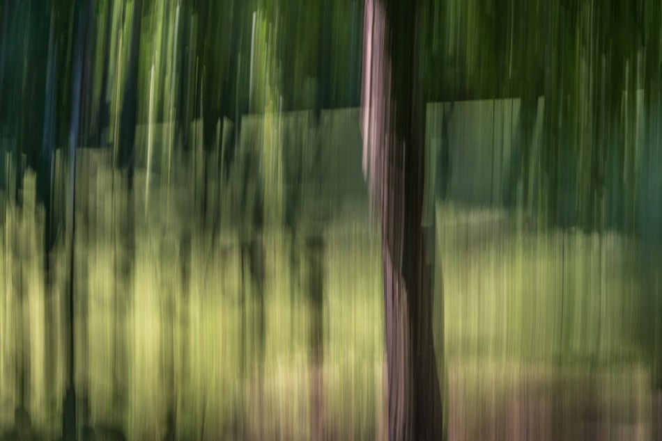 07052014 Schoepfle Garden-138