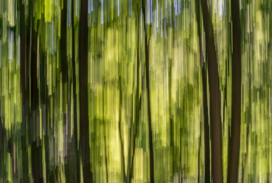 07052014 Schoepfle Garden-149