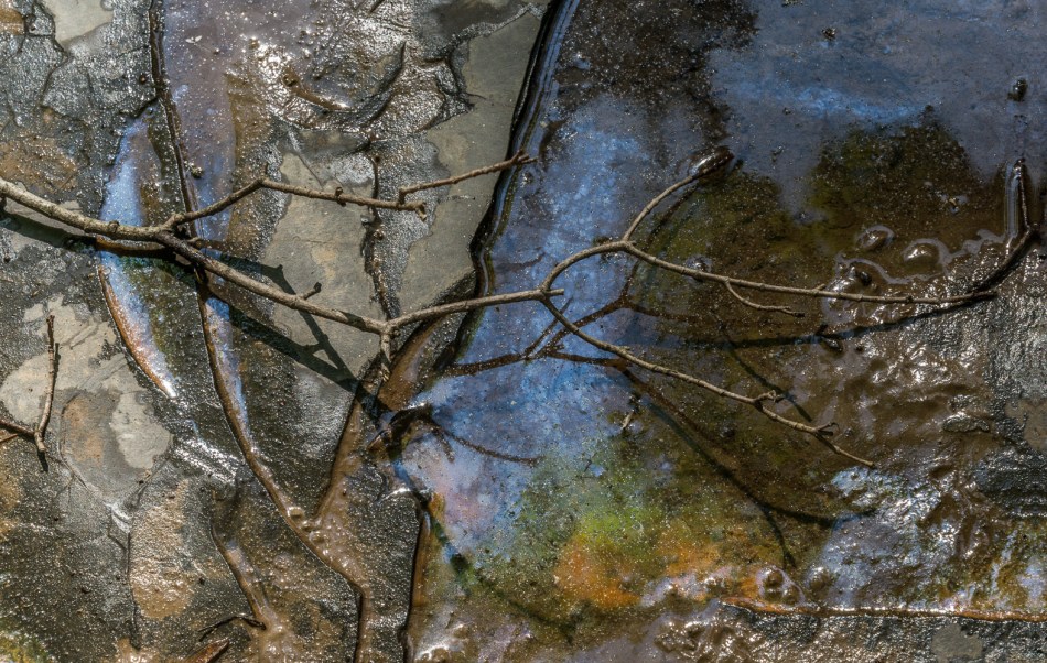 07052014 Schoepfle Garden-213-Edit